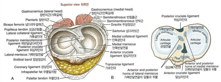 imgc202020_20.jpg